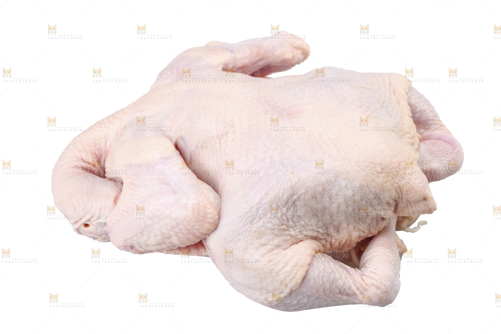 白底上的生鲜鸡肉