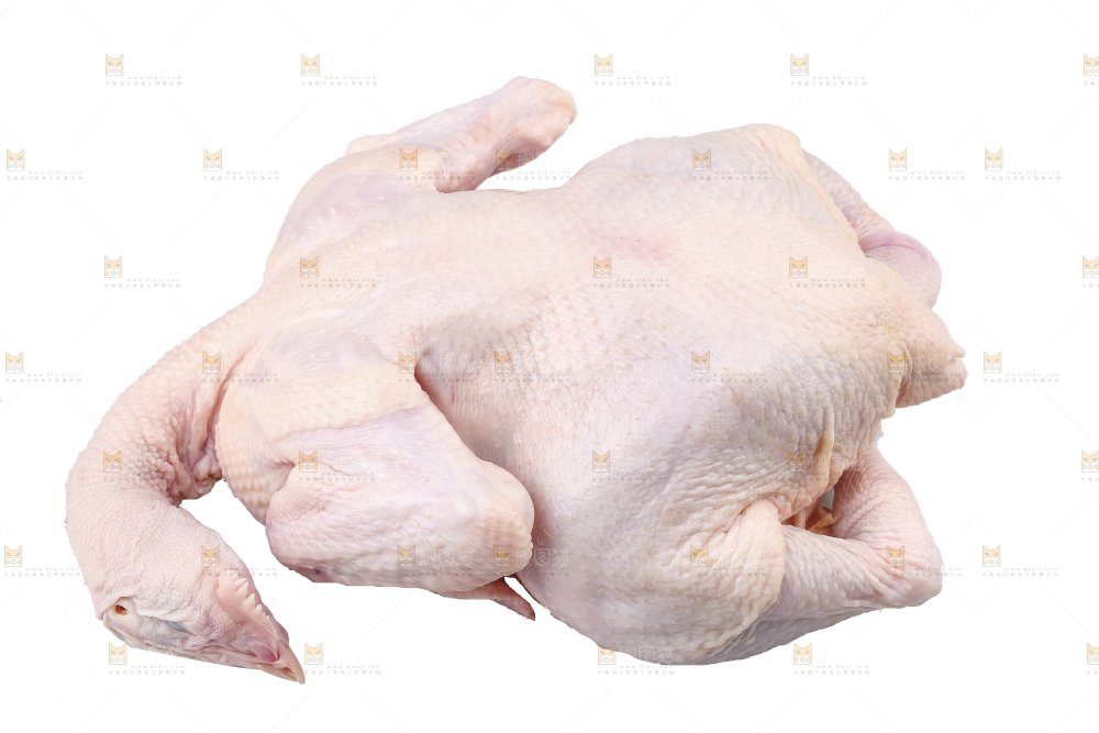 白底上的生鲜鸡肉