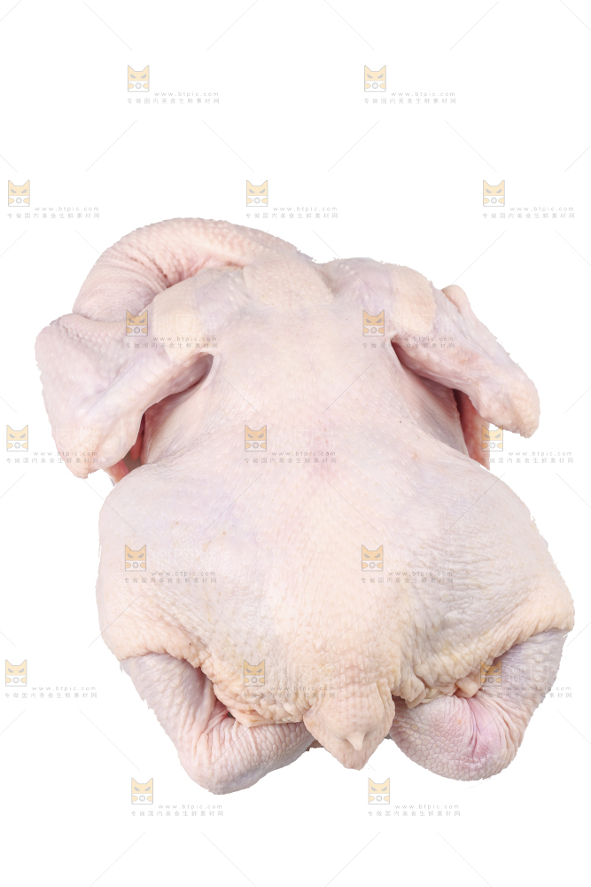 白底上的生鲜鸡肉