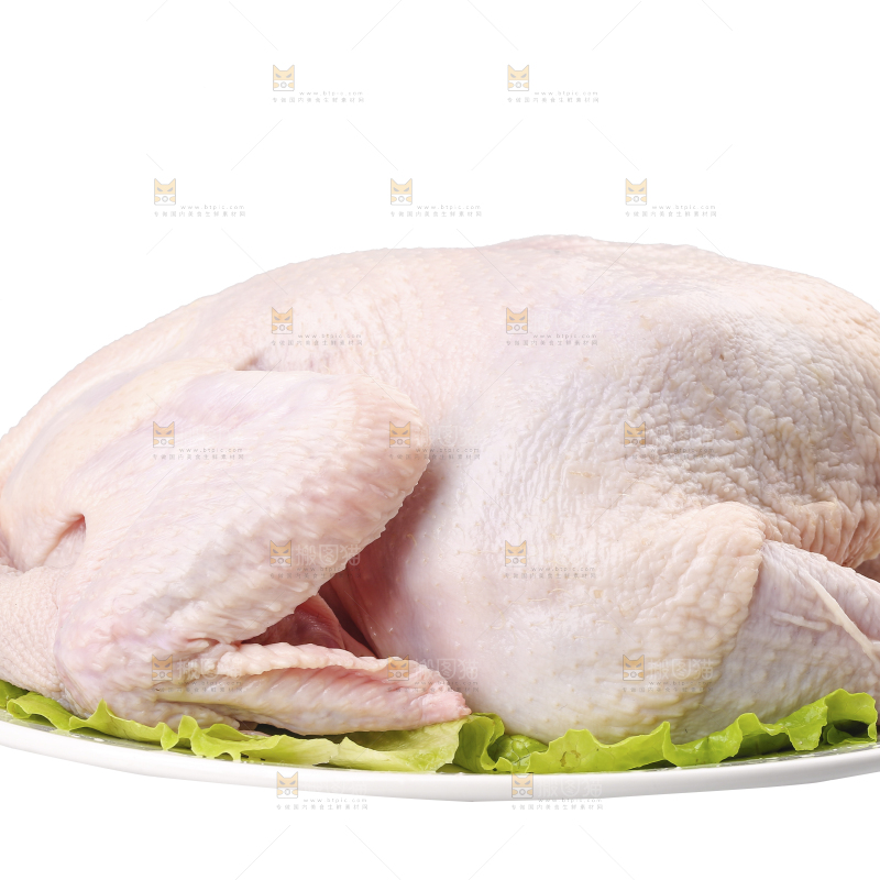 白底上的生鲜鸡肉
