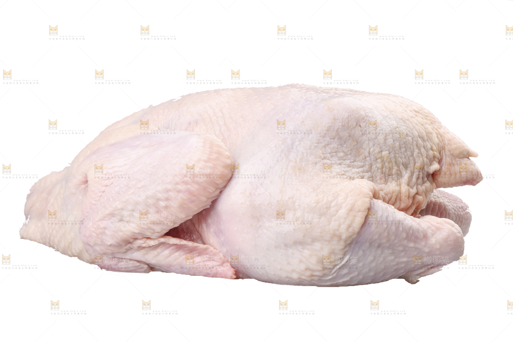 白底上的生鲜鸡肉
