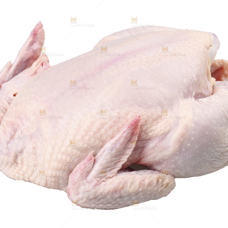 白底上的生鲜鸡肉