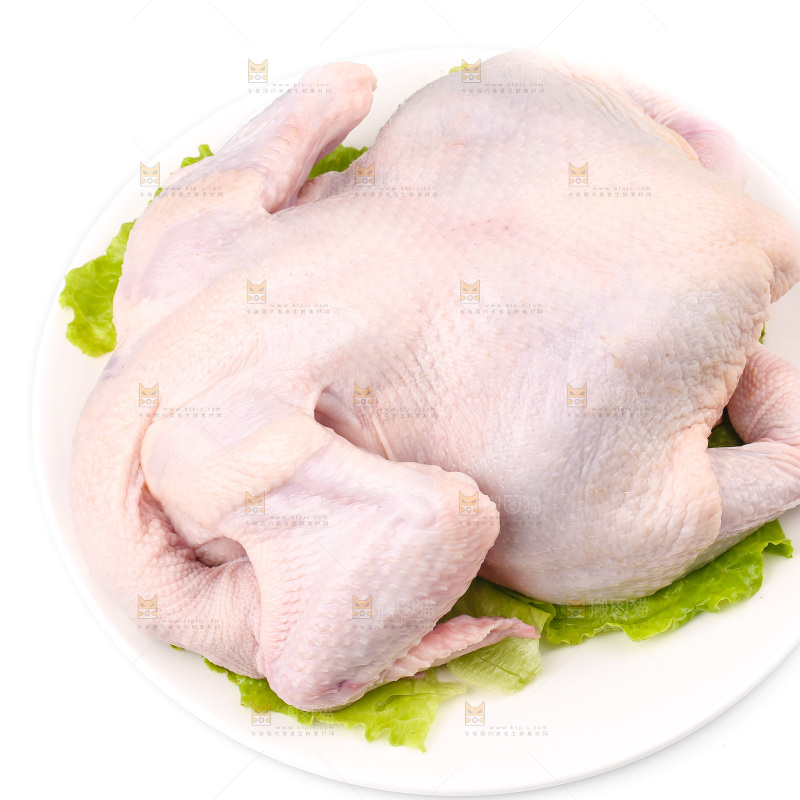 白底上的生鲜鸡肉