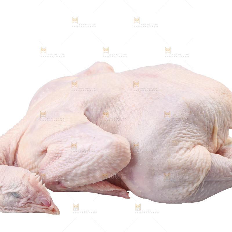白底上的生鲜鸡肉