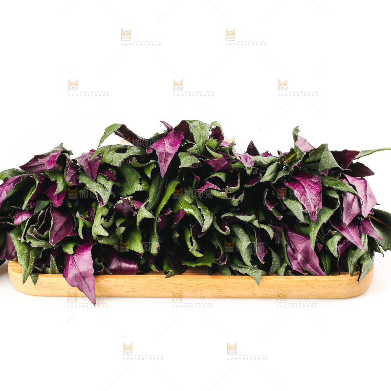 白底上的紫背天葵