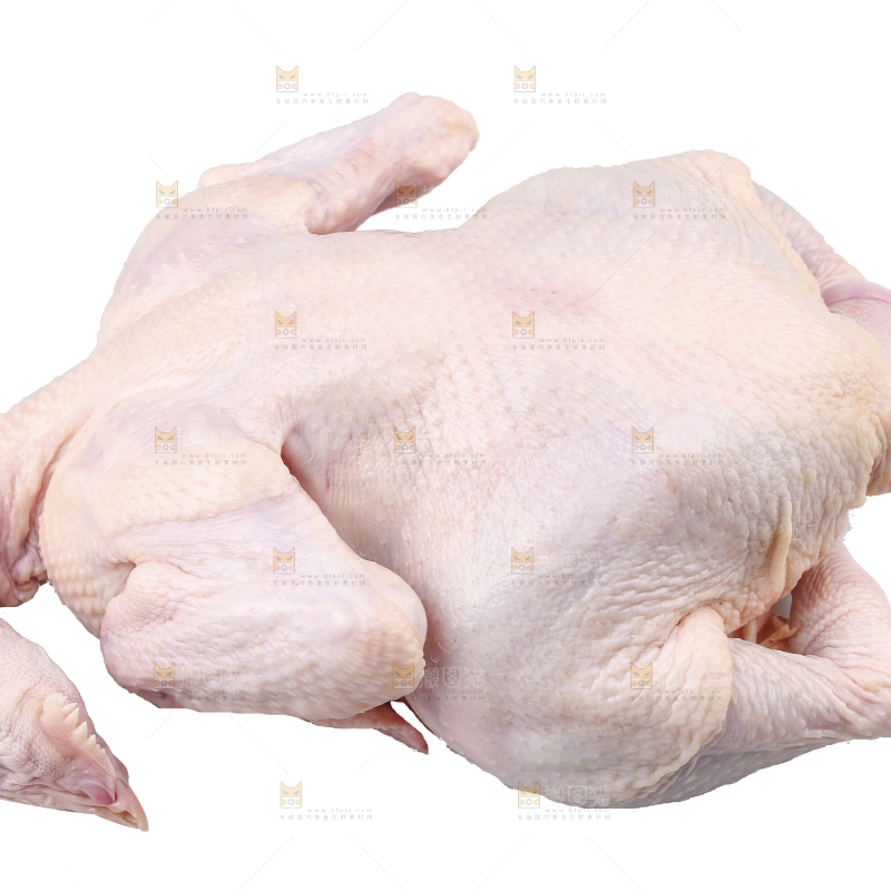 白底上的生鲜鸡肉