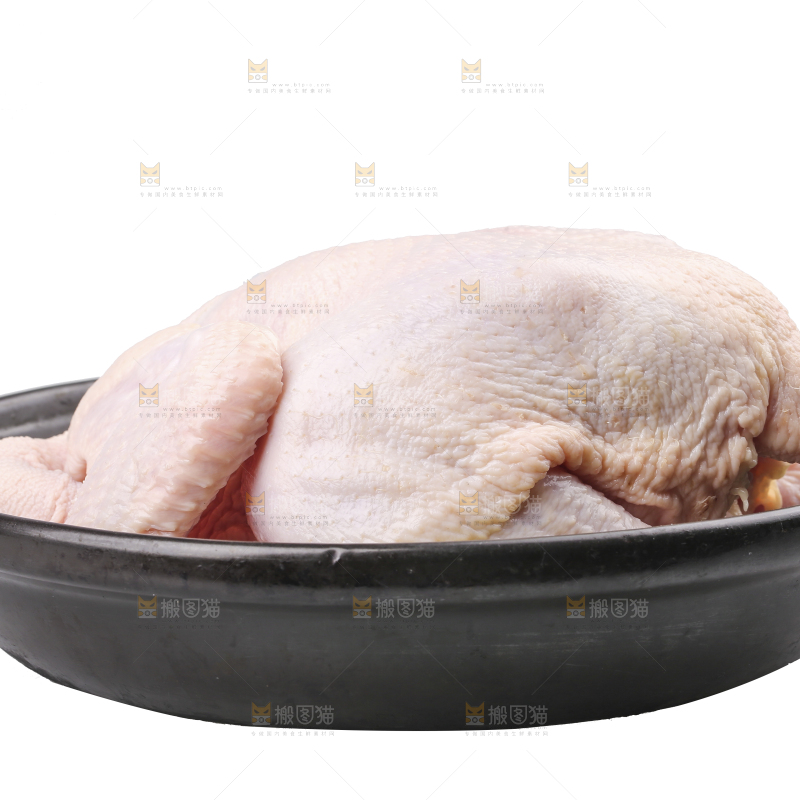 白底上的生鲜鸡肉