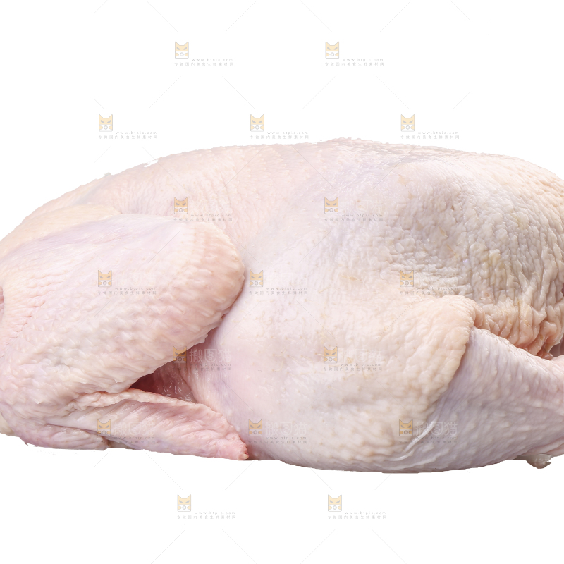 白底上的生鲜鸡肉