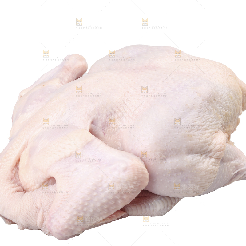 白底上的生鲜鸡肉