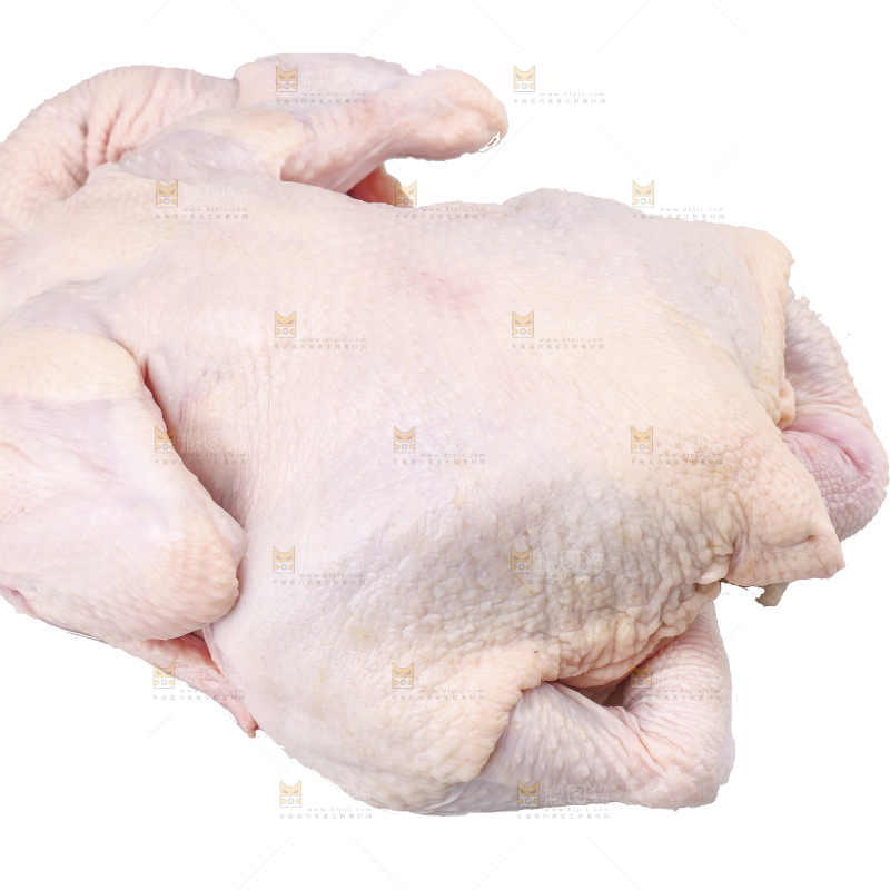 白底上的生鲜鸡肉