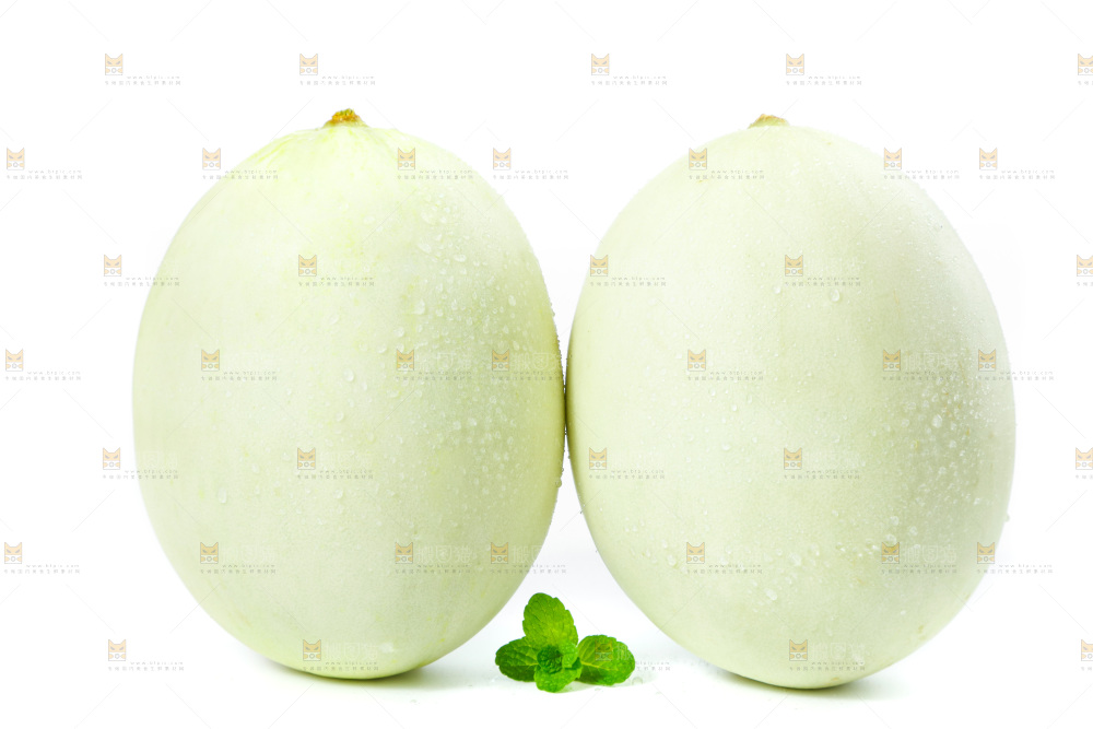 白底上的玉菇甜瓜