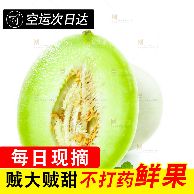 白底上的玉菇甜瓜