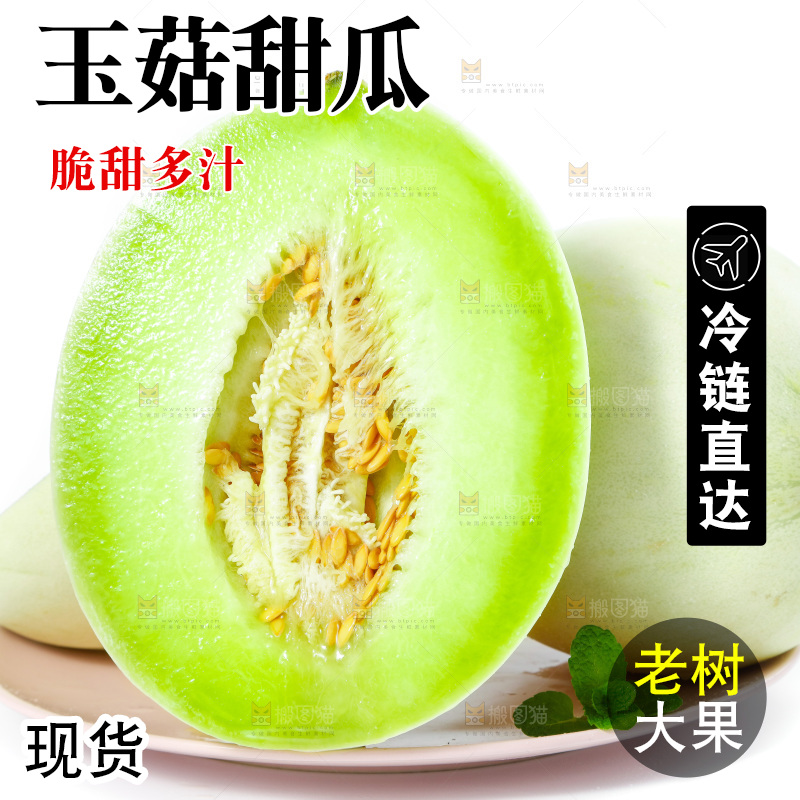 白底上的玉菇甜瓜