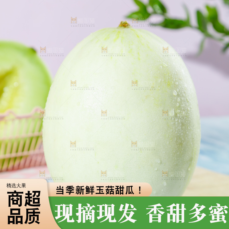 浅底上的玉菇甜瓜