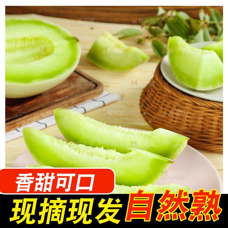 浅底上的玉菇甜瓜
