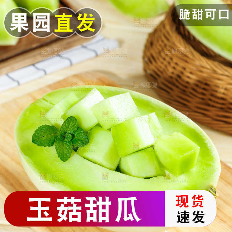 浅底上的玉菇甜瓜