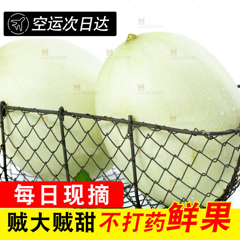 白底上的玉菇甜瓜
