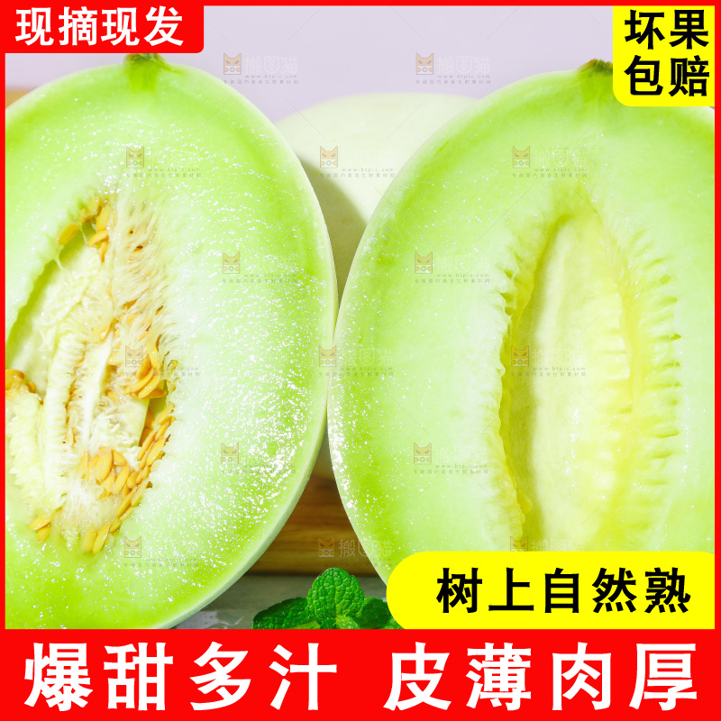 浅底上的玉菇甜瓜