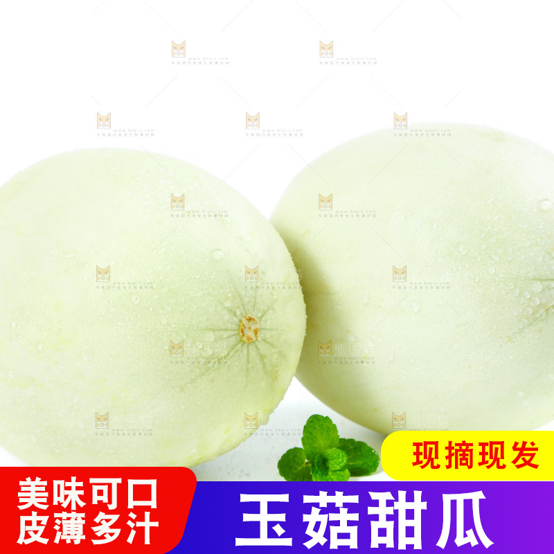 白底上的玉菇甜瓜