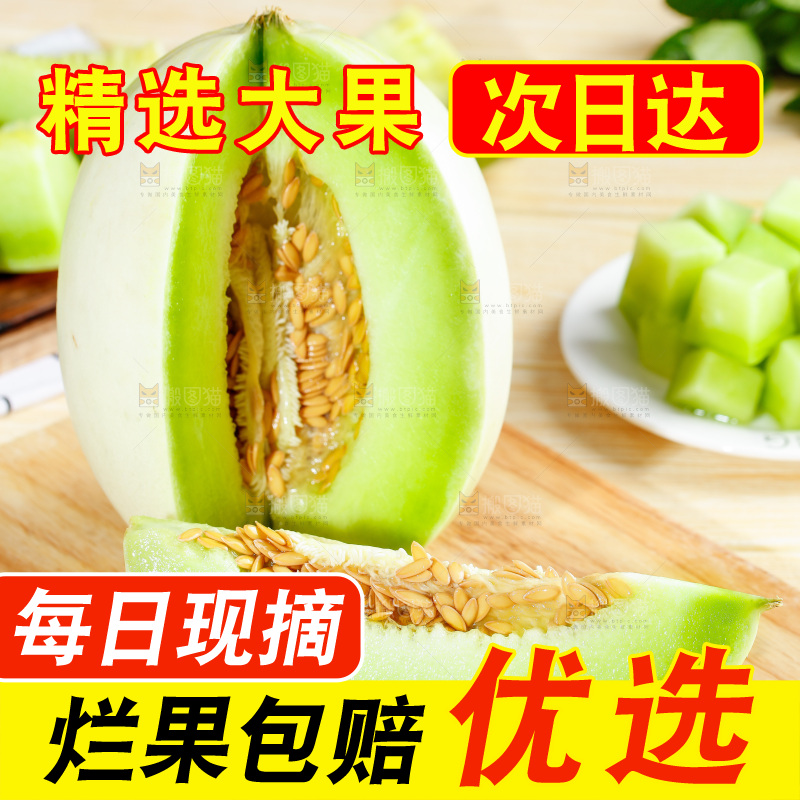 浅底上的玉菇甜瓜