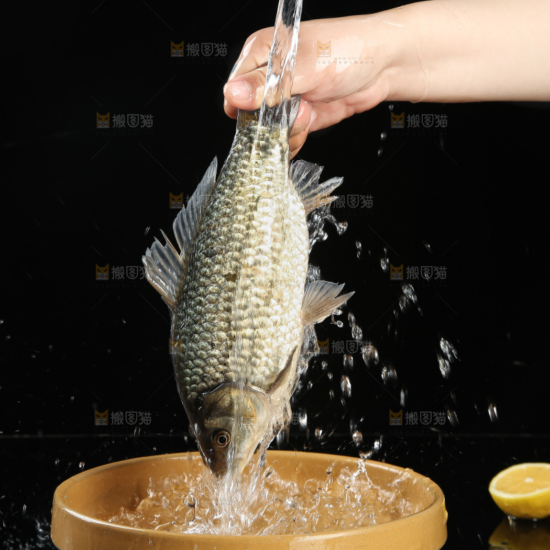 深底上的鲫鱼