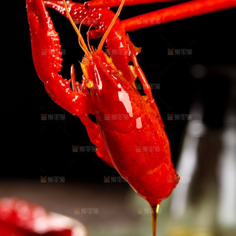 深底上的香辣小龙虾