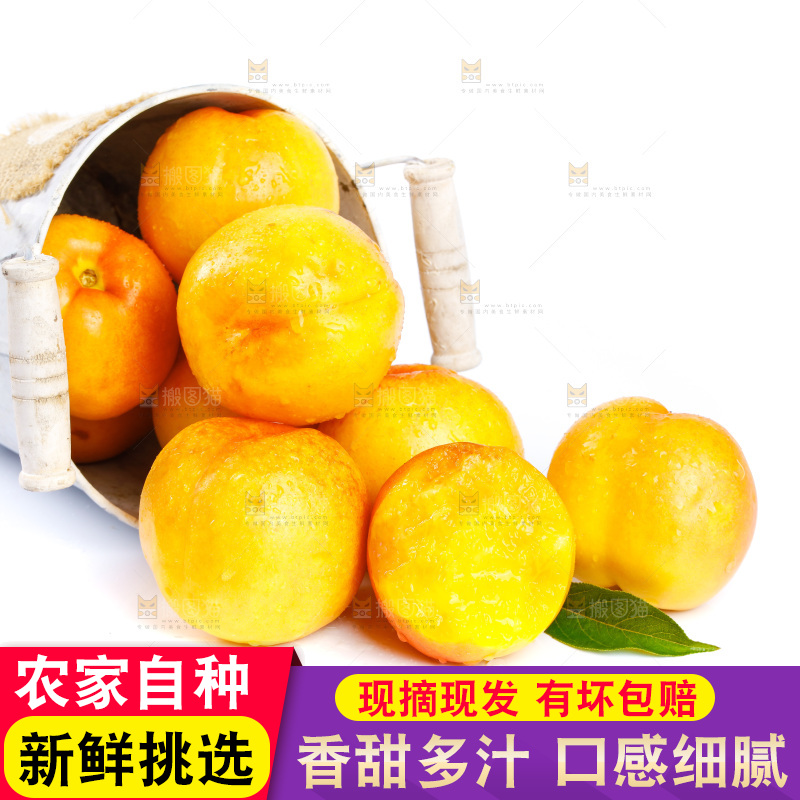 白底上的黄油桃