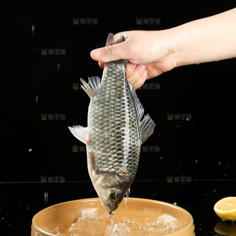 深底上的鲫鱼