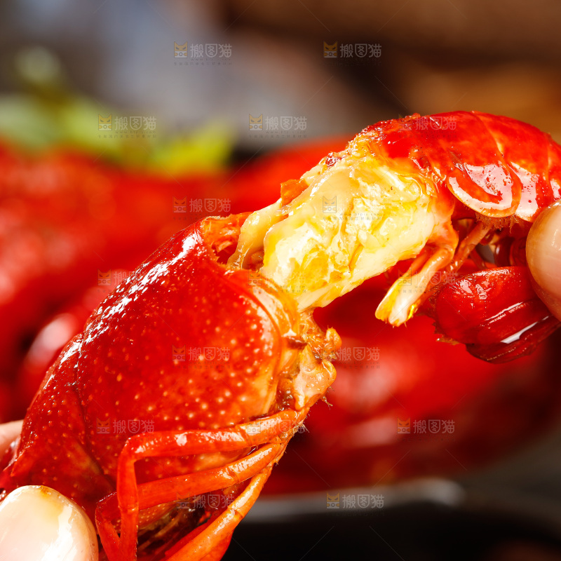 深底上的香辣小龙虾