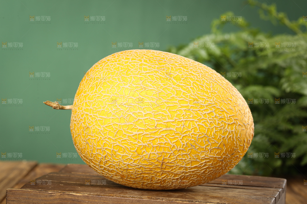 深底上的黄皮哈密瓜