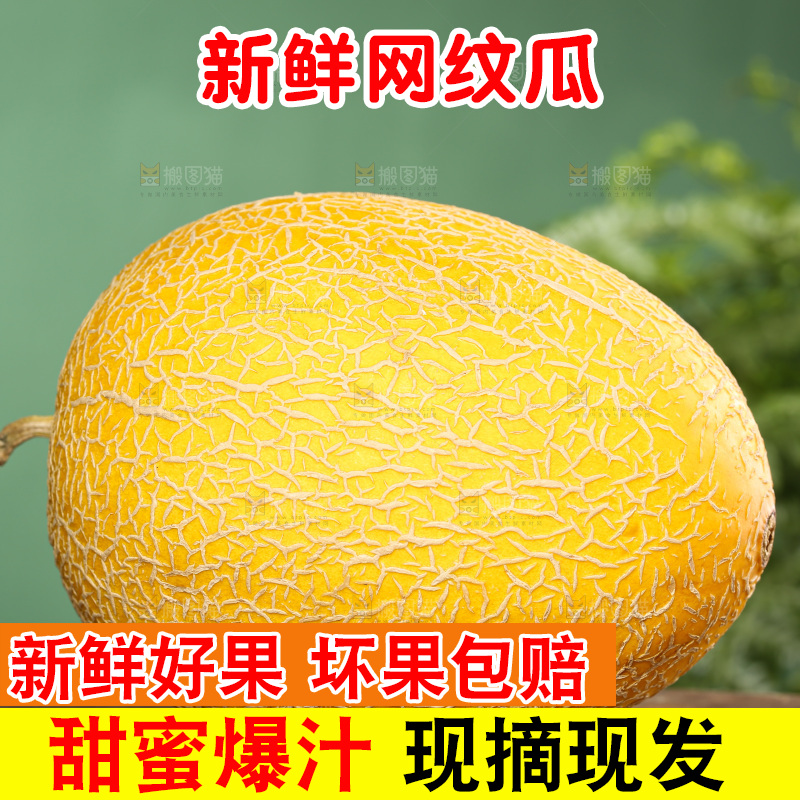 深底上的黄皮哈密瓜