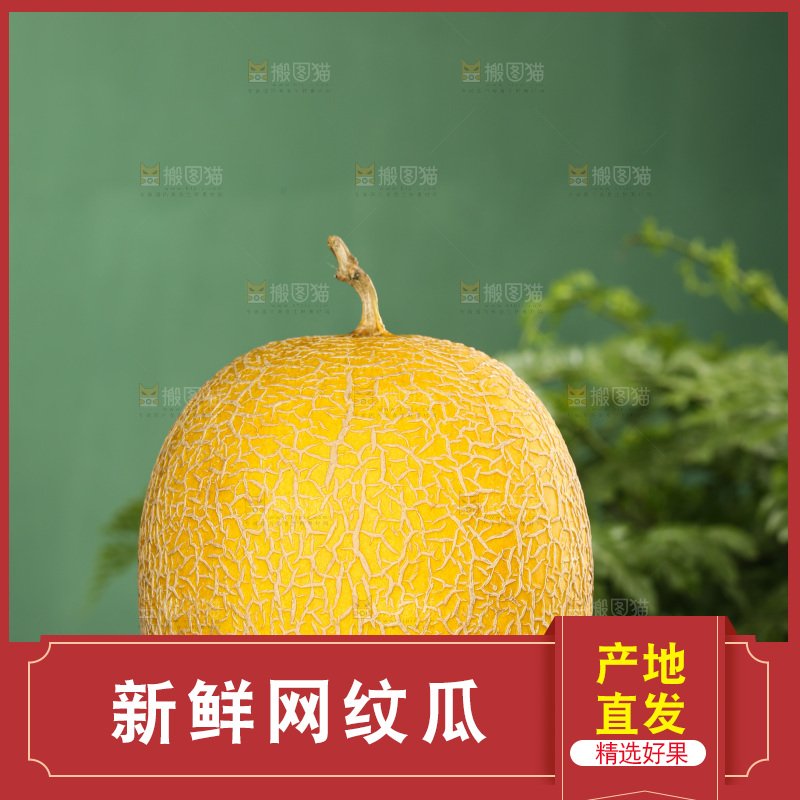 深底上的黄皮哈密瓜