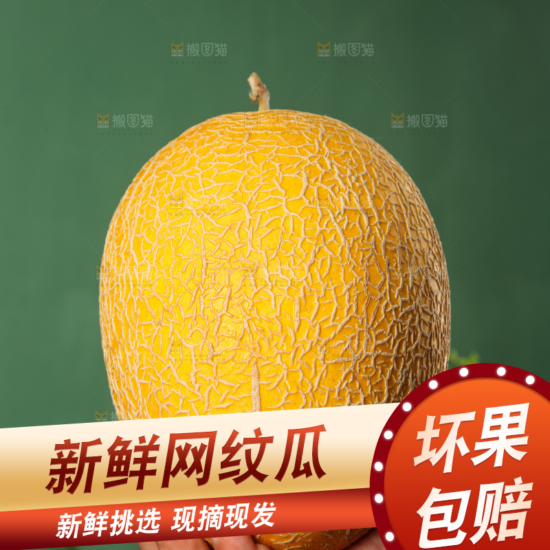 深底上的黄皮哈密瓜