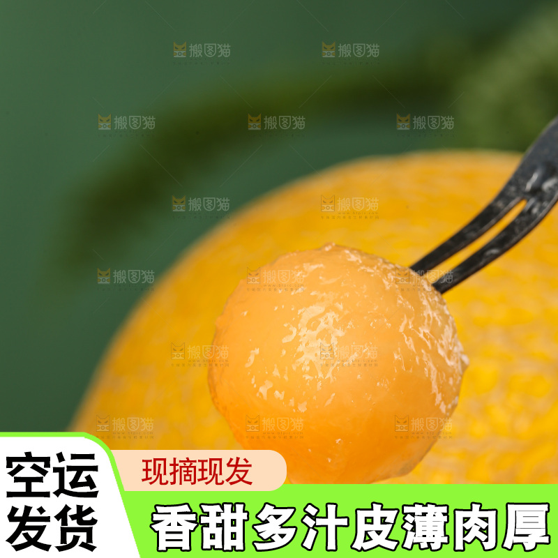 深底上的黄皮哈密瓜