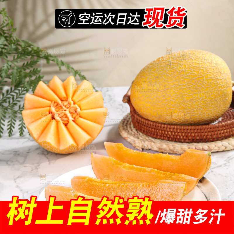 浅底上的黄皮哈密瓜