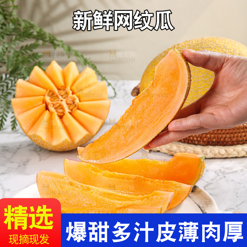 浅底上的黄皮哈密瓜