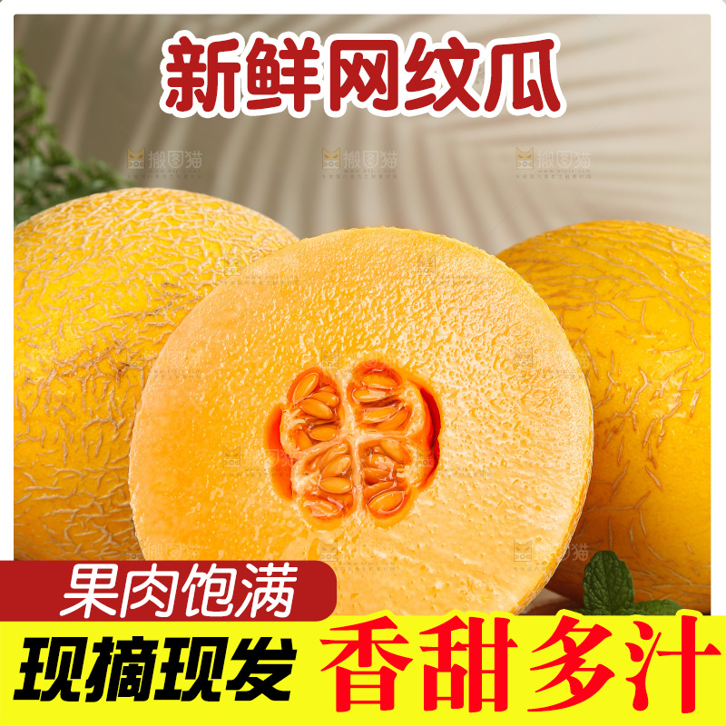 浅底上的黄皮哈密瓜