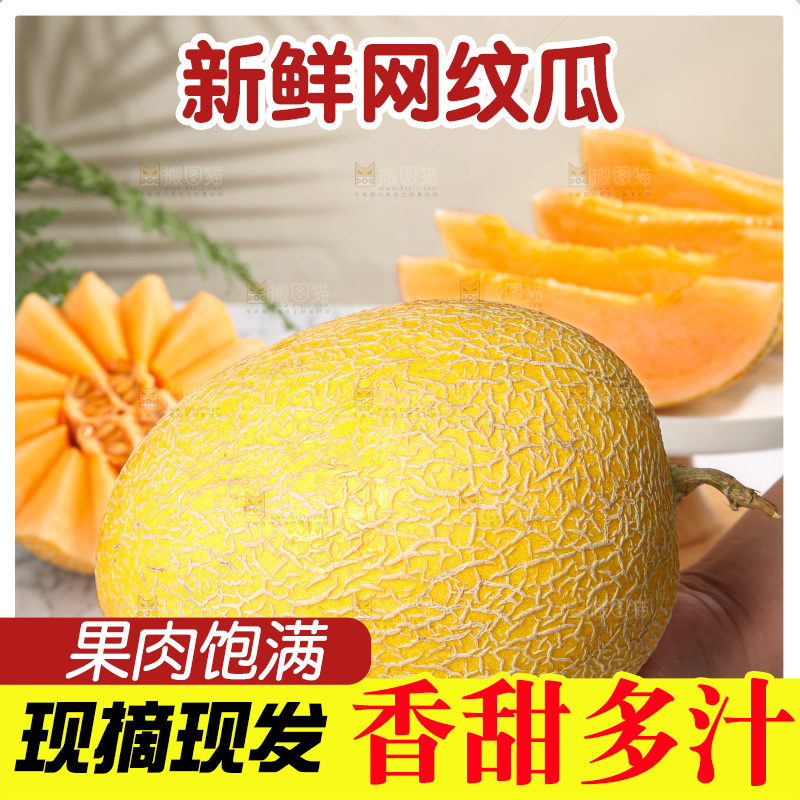 浅底上的黄皮哈密瓜