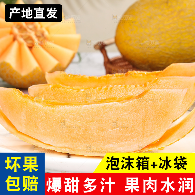 浅底上的黄皮哈密瓜
