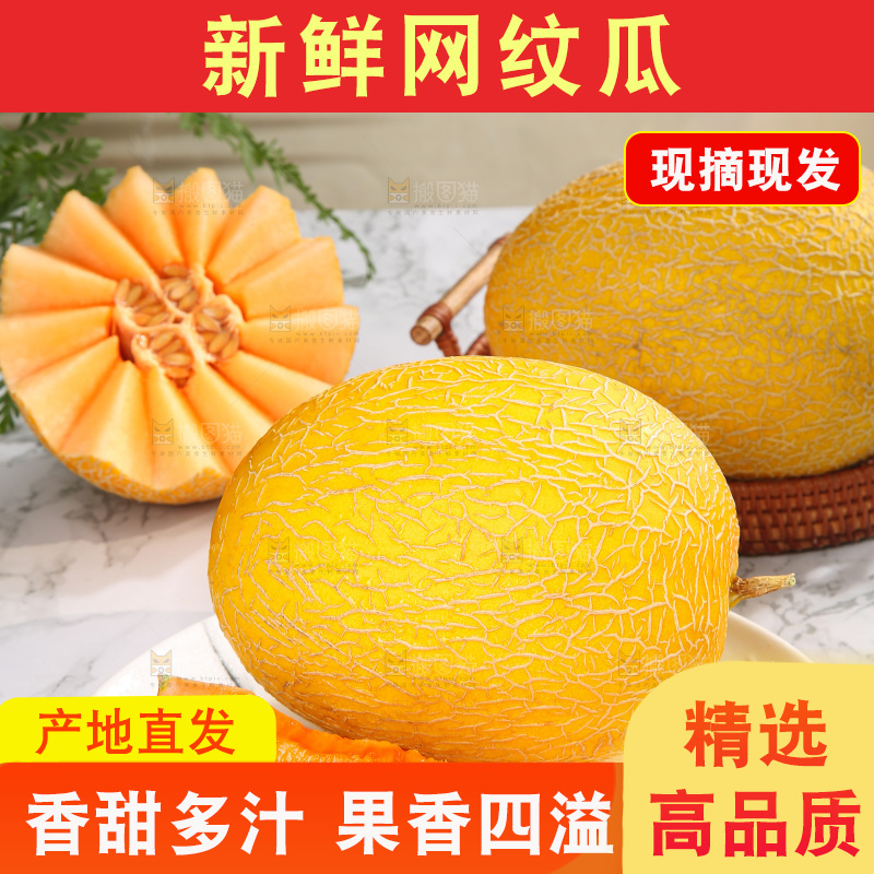 浅底上的黄皮哈密瓜
