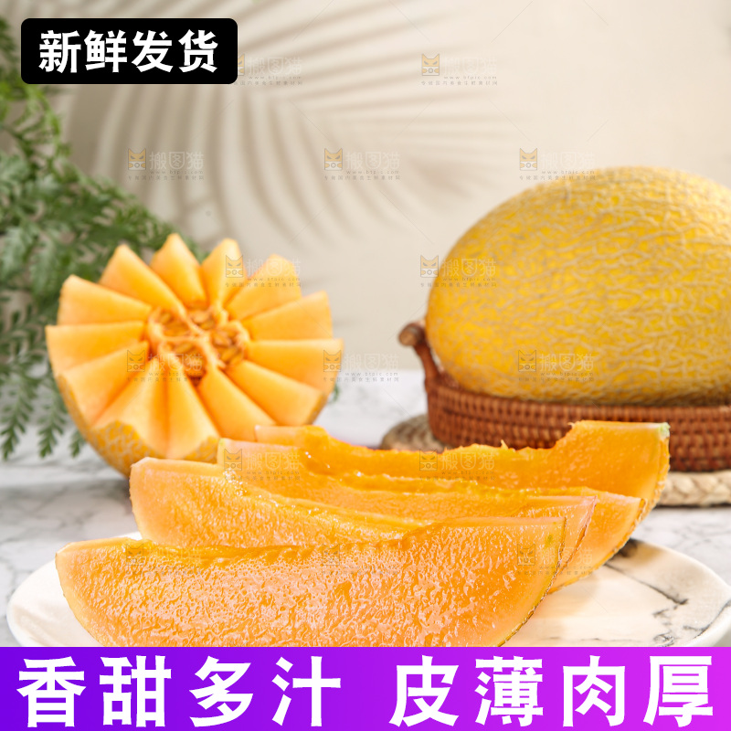 浅底上的黄皮哈密瓜