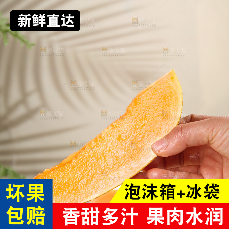 浅底上的黄皮哈密瓜