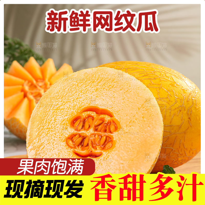 浅底上的黄皮哈密瓜