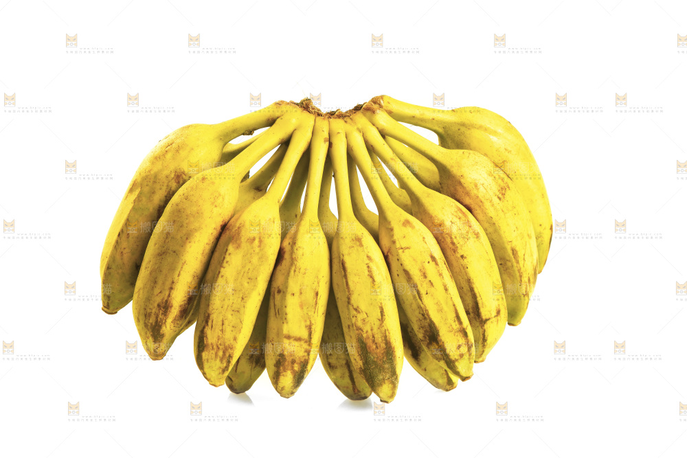白底上的芭蕉