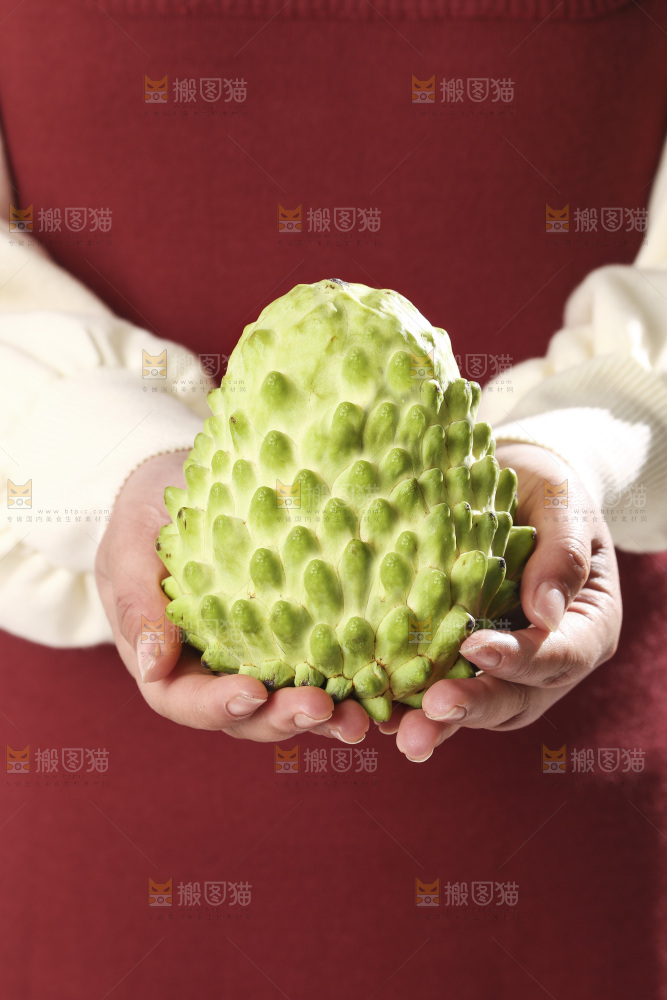 手里拿着释迦果