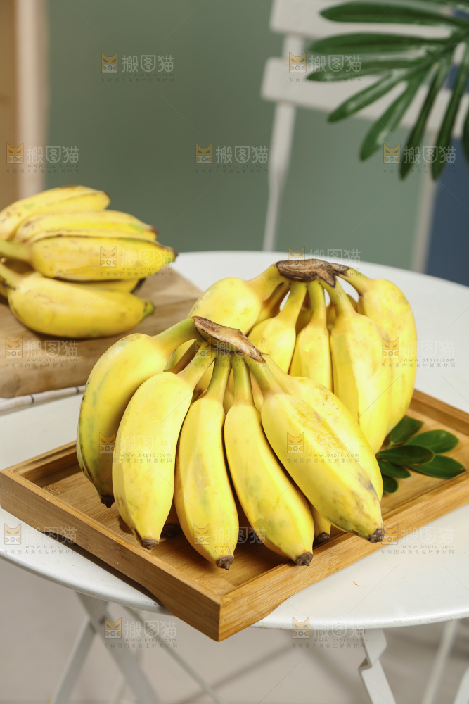 浅底上的芭蕉