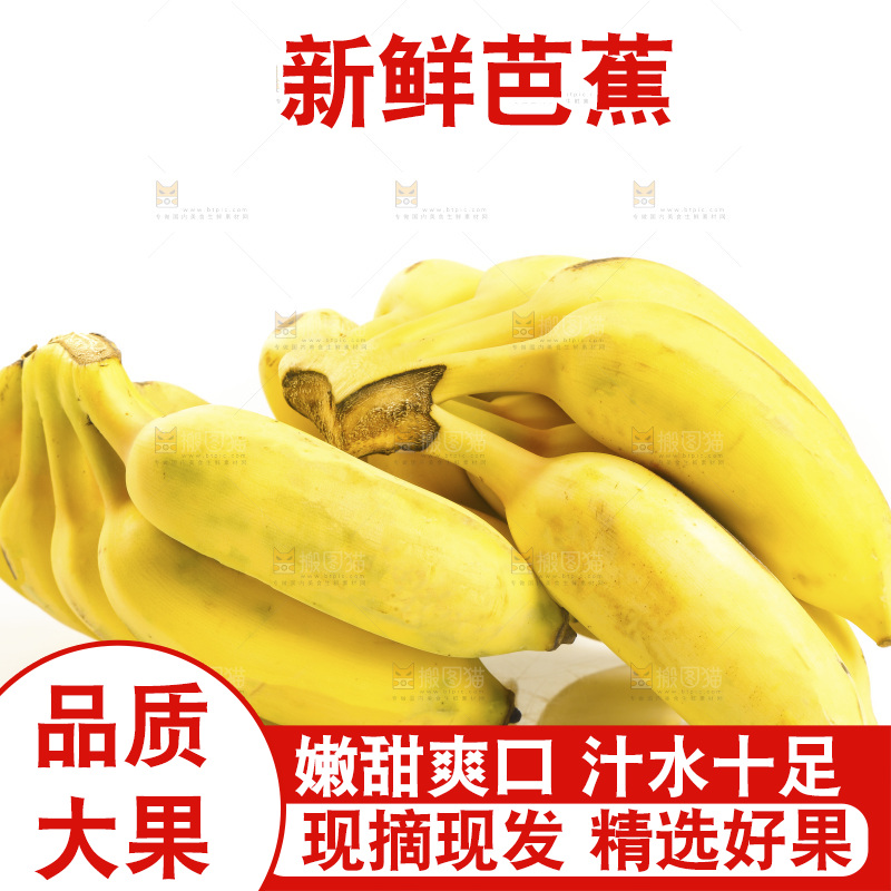 白底上的芭蕉