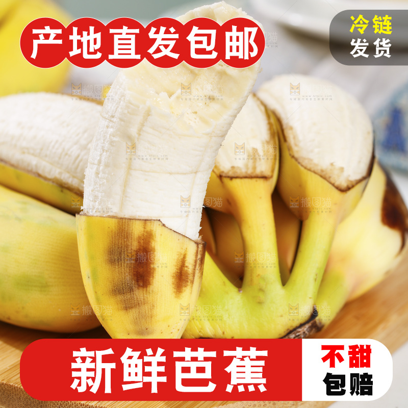 浅底上的芭蕉