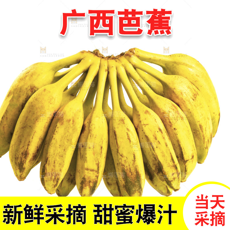 白底上的芭蕉