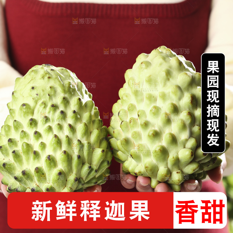 手里拿着释迦果